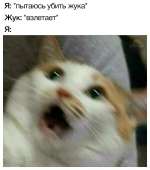 700x793