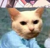 189x183