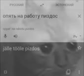 490x442