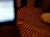 480x360