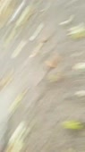 406x720