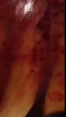 204x360