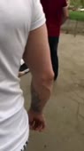 406x720