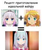 855x1024