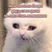 534x534