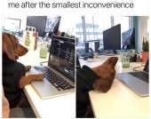 1242x979