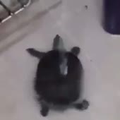 360x360