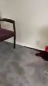 204x360