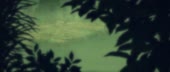 1280x544