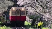 960x540