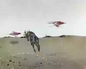 450x360