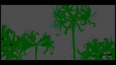 1280x720