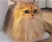 360x292