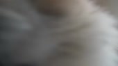 1280x720