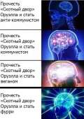 445x629