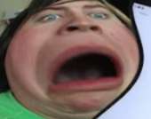 340x269