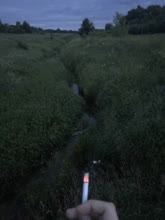 243x324