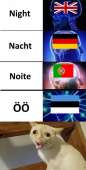 600x1179