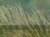 480x360