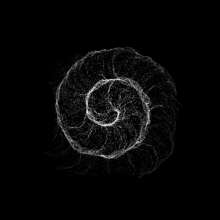 500x500