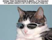 1242x970