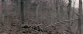 1206x500