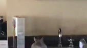 400x224