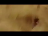320x240