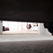 360x360