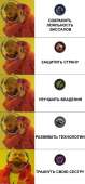 570x1215
