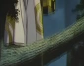 608x480