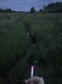 243x324