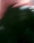 288x360