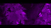 640x360