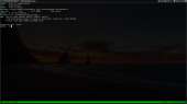1366x768