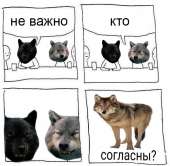 600x589