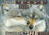 959x704