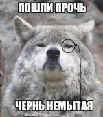 400x453