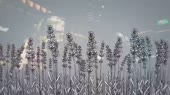 1244x700