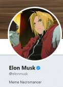 244x333
