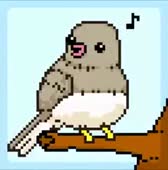 336x340