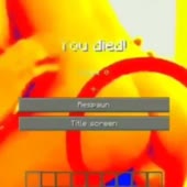 480x480