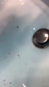 720x1252