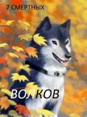 600x800