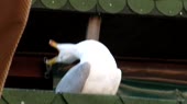 640x360