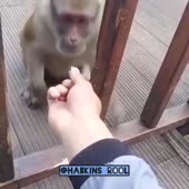 360x360