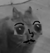 397x419