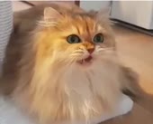 360x292
