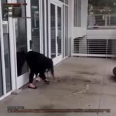 360x360