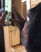 460x574